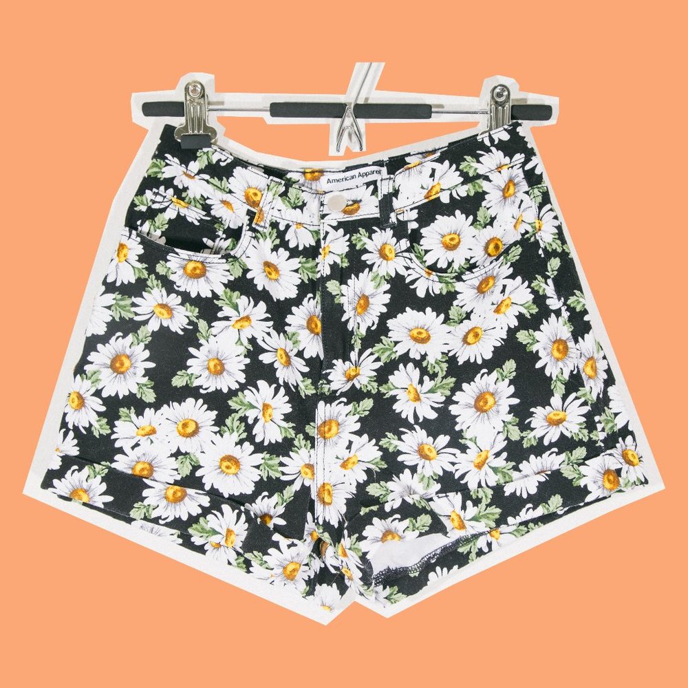 American Apparel Daisy High Waist Shorts